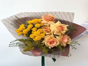 Cute Collection